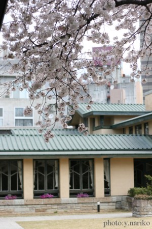 イニシャル飾り　桜満開の自由学園明日館さんへ_b0113510_22205526.jpg