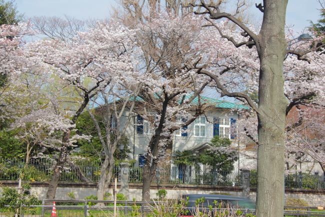 c0186410_1781979.jpg
