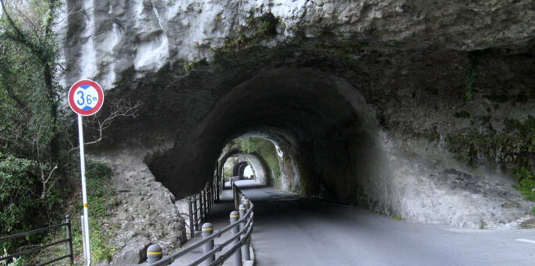e0003910_10221351.jpg