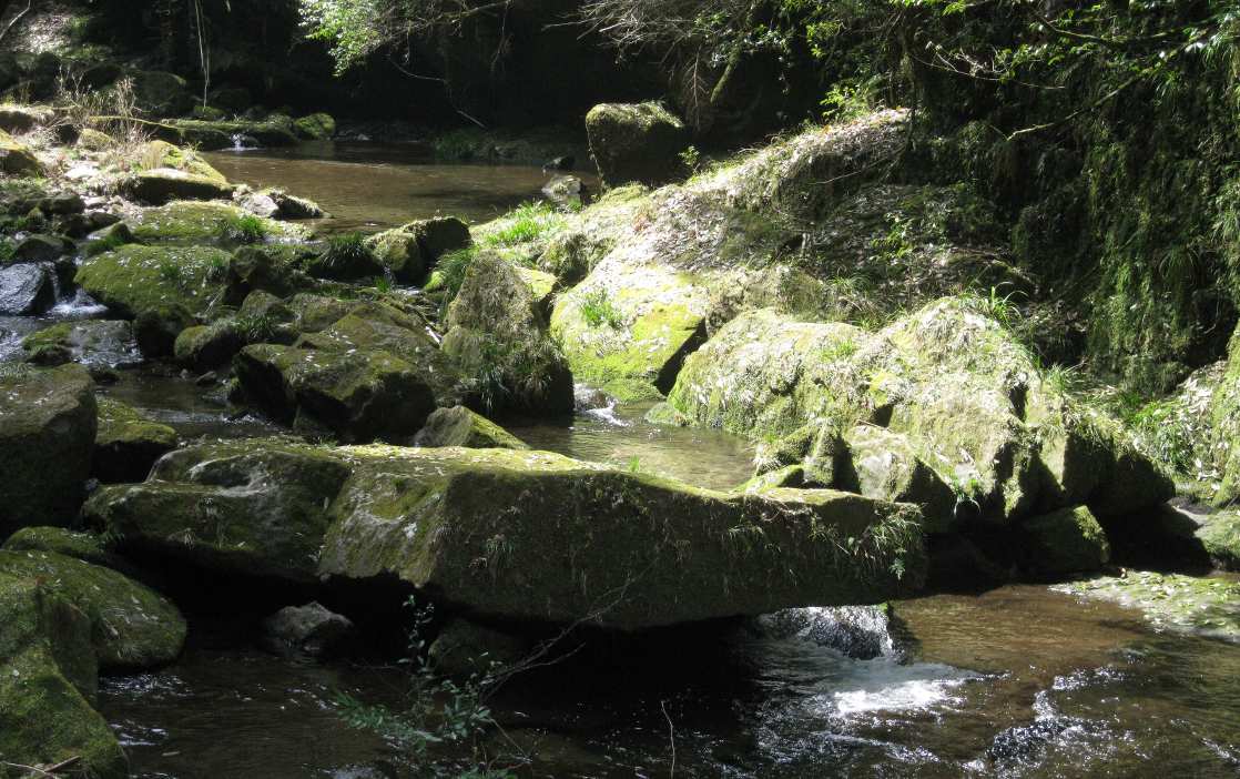 e0003910_10502425.jpg