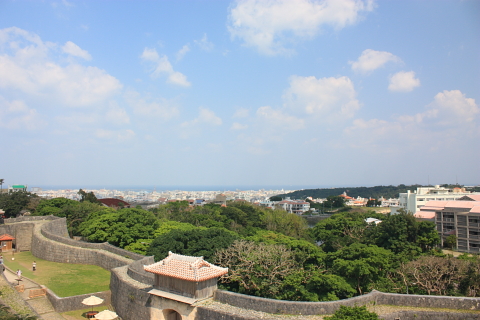 d0077811_19554174.jpg