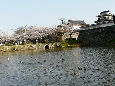 a0154912_12464237.jpg