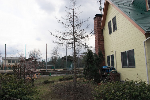 f0011412_827195.jpg