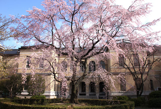 京都府庁 中庭_e0048413_20261394.jpg