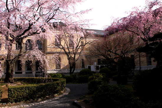京都府庁 中庭_e0048413_20262438.jpg