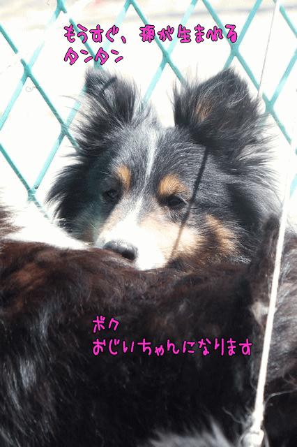 f0098313_21435373.gif