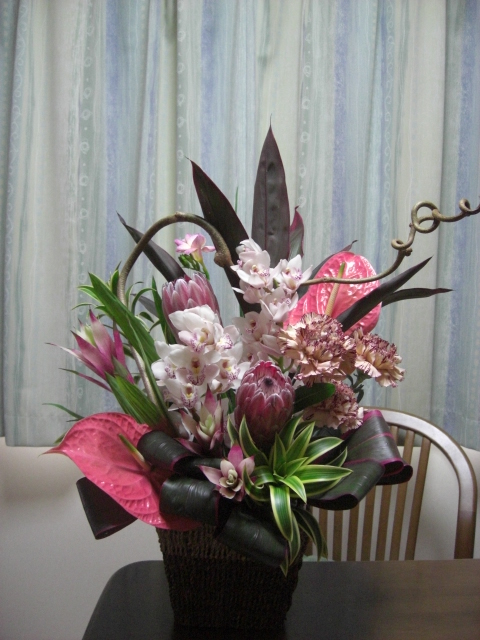 f0226713_171779.jpg