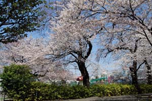 a0031714_1891396.jpg