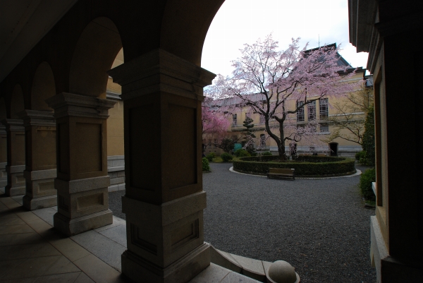 a0114714_11305859.jpg