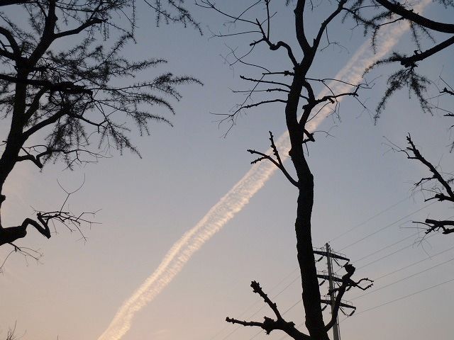 c0066514_20535771.jpg