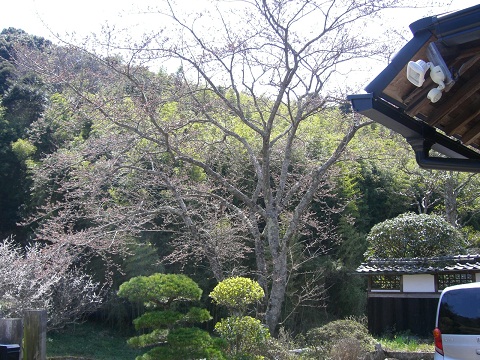 d0200414_14163786.jpg