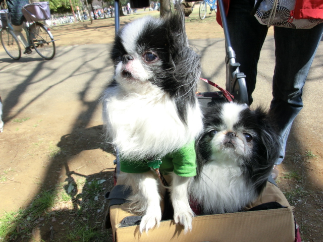 c0200916_22222215.jpg