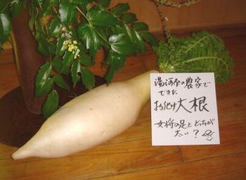 自虐ネタ?_e0234016_17113452.jpg
