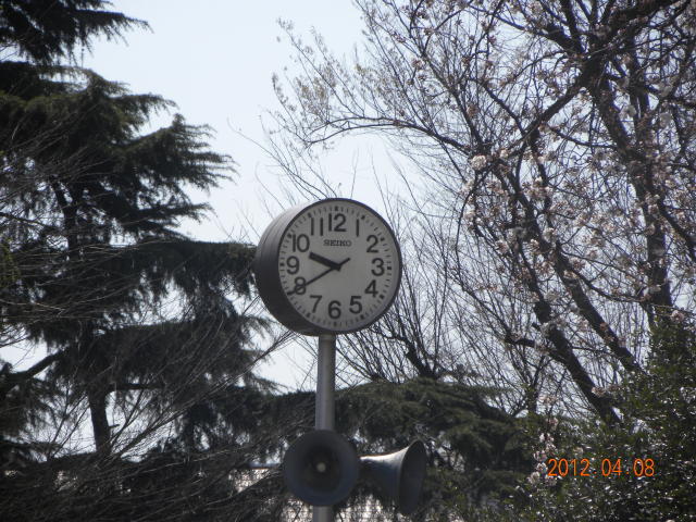 b0203018_16584741.jpg