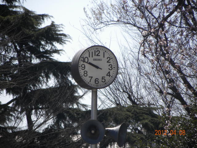 b0203018_1701888.jpg