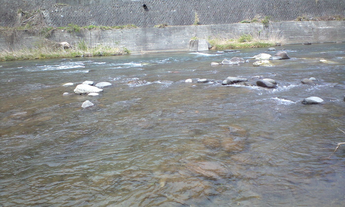 d0168318_21253847.jpg