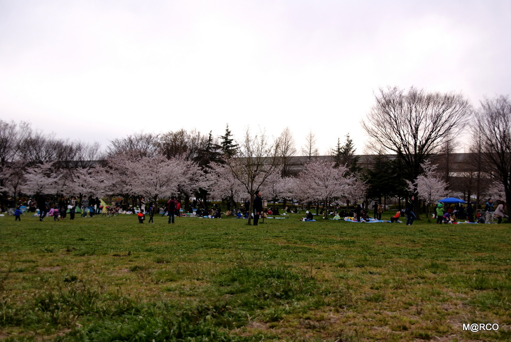 a0240721_011502.jpg