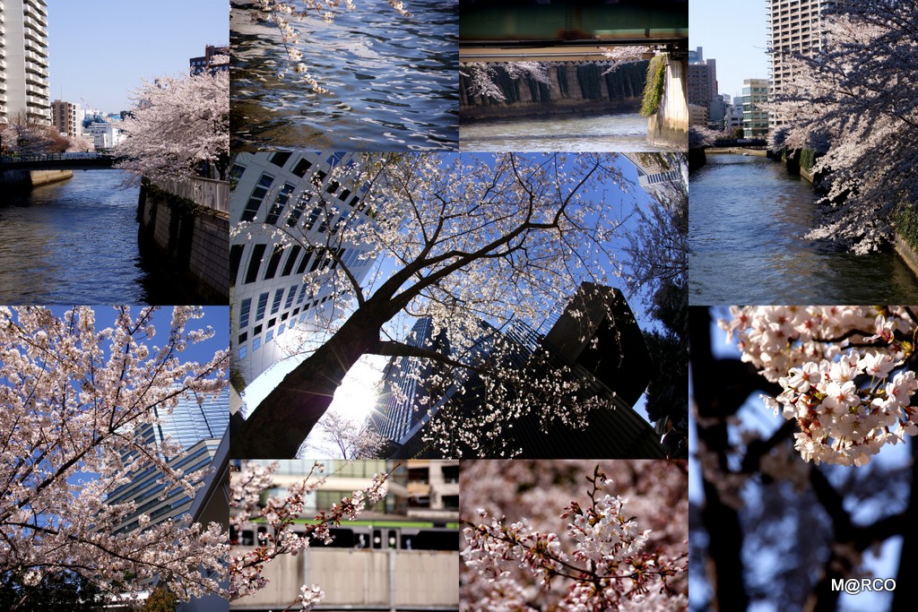 a0240721_21122616.jpg