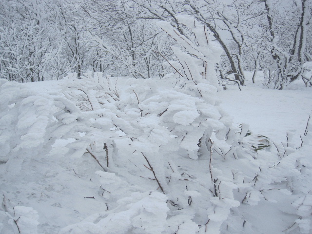 猫魔は今日も雪だった。_c0141223_1731291.jpg