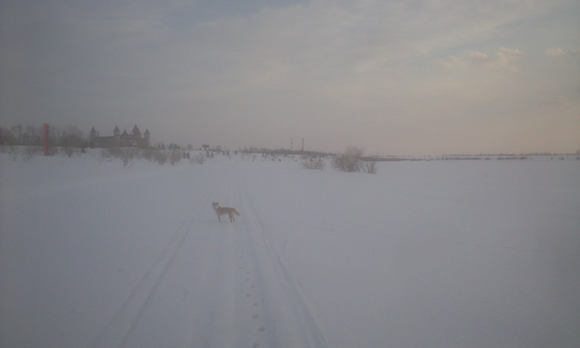 e0227023_23161091.jpg