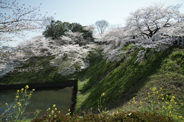 a0068424_23503431.jpg