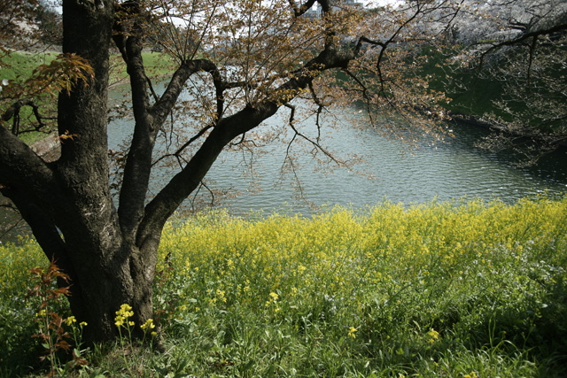 a0068424_2353551.jpg