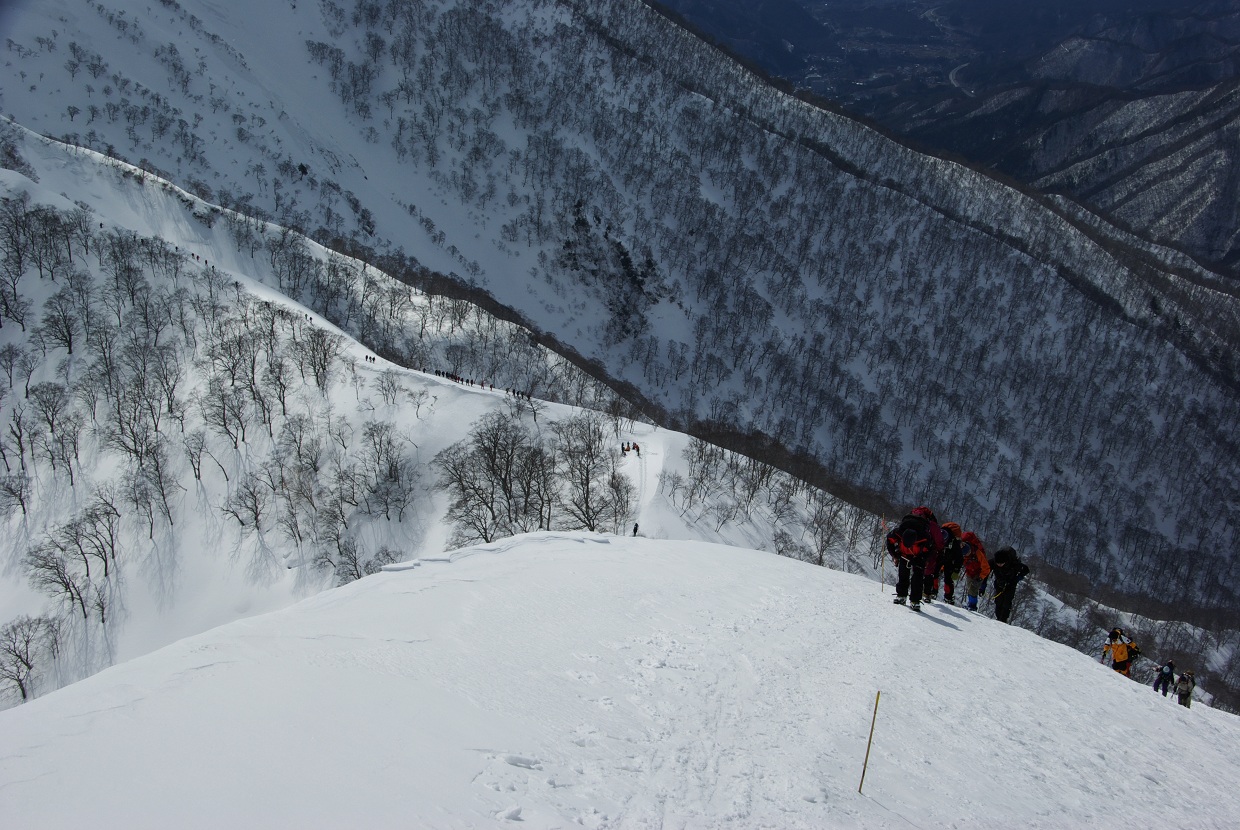 b0062024_17391047.jpg