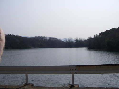 a0243325_17504476.jpg