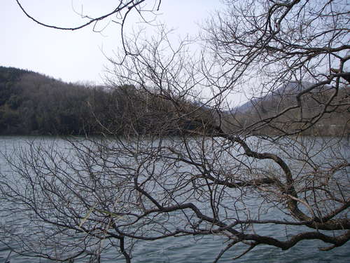 a0243325_17581475.jpg