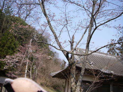 a0243325_1825695.jpg