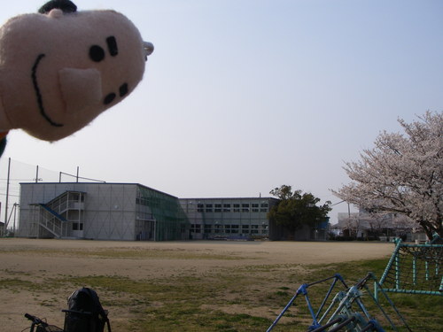 a0243325_1865811.jpg