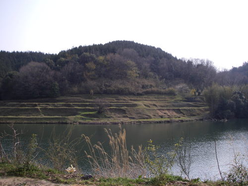 a0243325_1872018.jpg