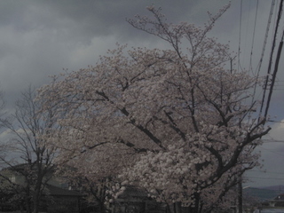 f0032125_22412058.jpg