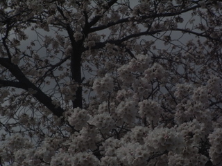 f0032125_22413412.jpg