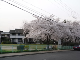 f0032125_22442852.jpg