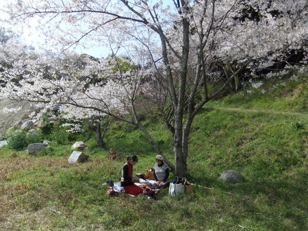 火山瑠璃光寺で花祭り_f0184825_21225577.jpg