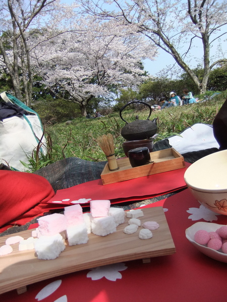 火山瑠璃光寺で花祭り_f0184825_21254837.jpg