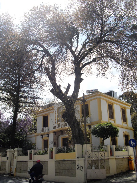 ギリシャ旅行記 2_d0104926_226451.jpg