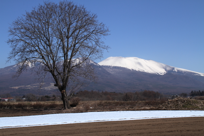 月に一回通う日_c0215627_2291319.jpg