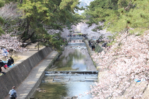 b0208228_17475136.jpg