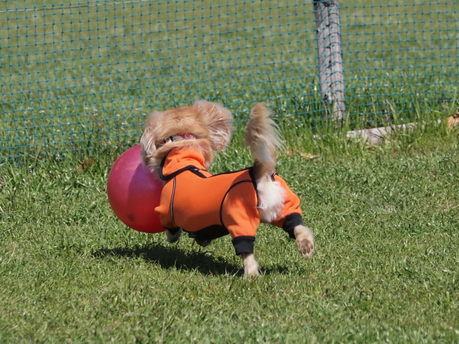 c0117831_2042465.jpg