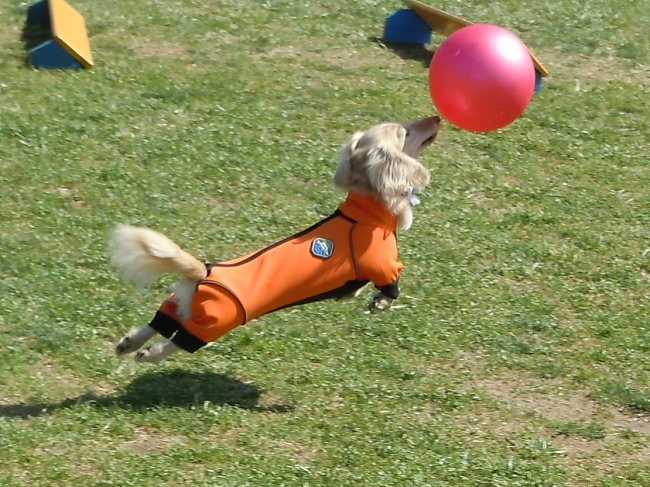 c0117831_2043100.jpg