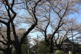 c0051032_23341690.jpg