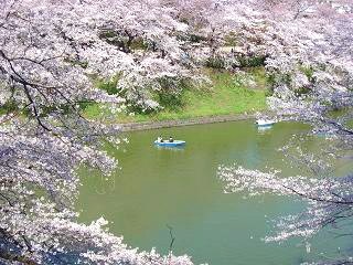 国立演芸場 4月上席_e0122332_20435846.jpg