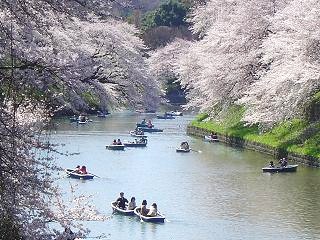 国立演芸場 4月上席_e0122332_2044786.jpg