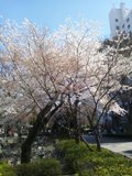 b0047333_87548.jpg