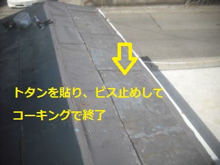 f0031037_1932940.jpg