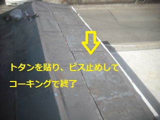 物置屋根と震災復旧工事と見積り_f0031037_1932940.jpg