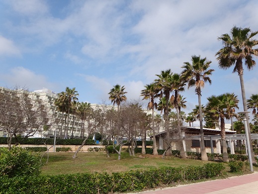 e0238838_68945.jpg