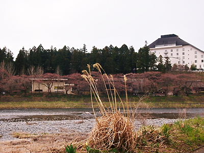 e0022839_235237100.jpg